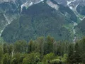 IMG 1424